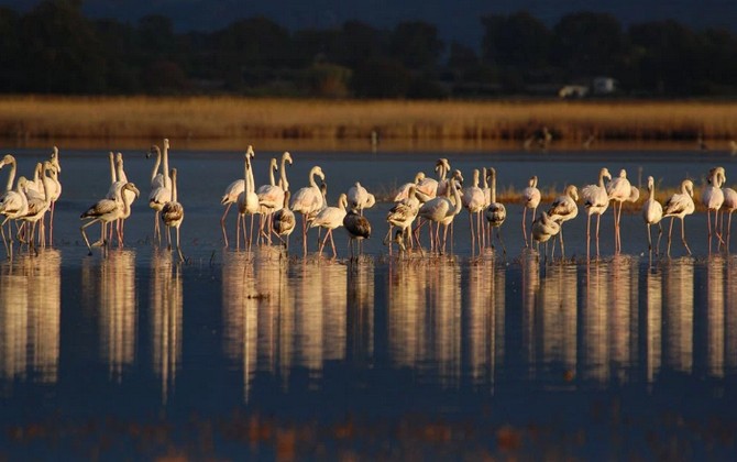Gialova Lagoon