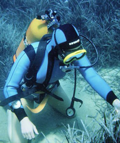 Diving in Corfu